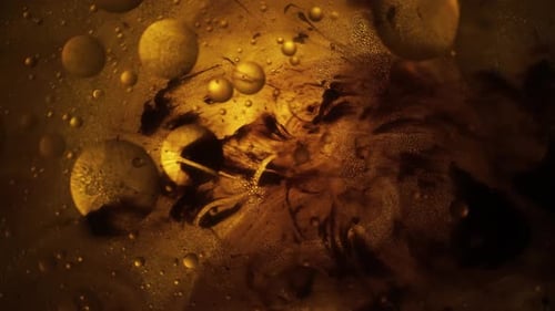 Abstract Fluid Shapes in Gold and Brown