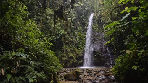 A beautiful waterfall in the heart of the Mashpi Cloud Forest of Ecuador - wide shot