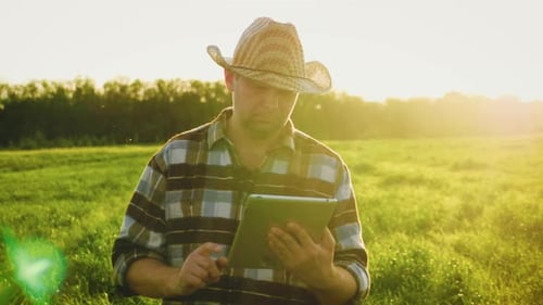 Farmer Using Tablet in Golden Field at Sunset