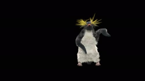 Pinguin tanzen 4K