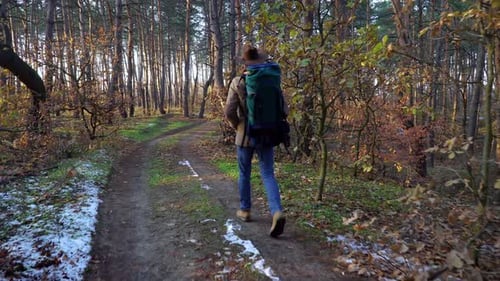 Backpacker Walks Along a Trail in the Forest
