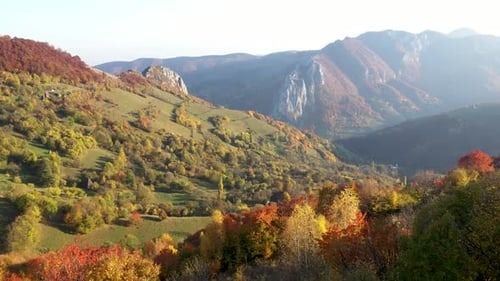 Flying Above Colorful Autumn Countryside Forest in the Mountains