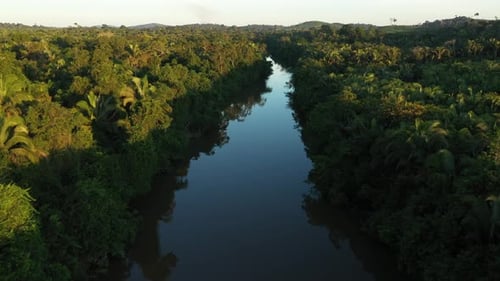 Drohne fliegt über einen schönen Fluss, mitten im Amazonas-Regenwald.