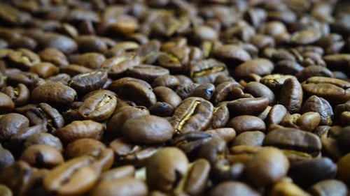 Rotating background from coffee beans.