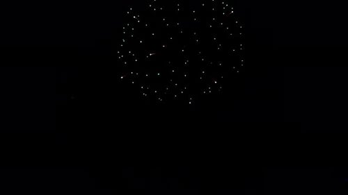 Colorful Fireworks Exploding in the Night Sky