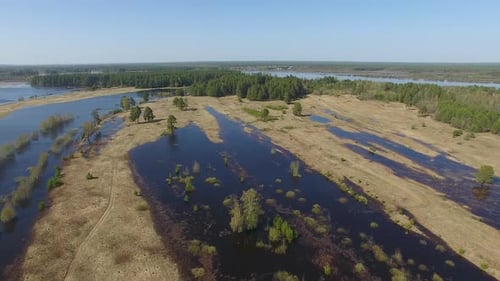 Champ et forêt pendant les inondations