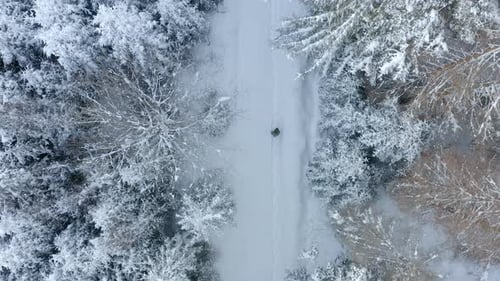 Woman walking in winter park