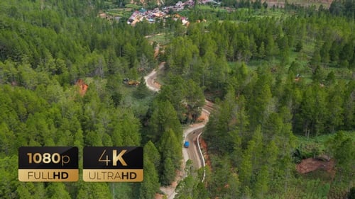AH - Road in The Pine Forest 05