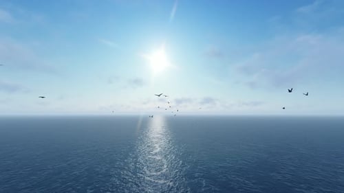 Birds Flying In The Ocean Sky