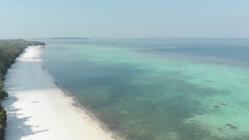 Vue aérienne : survol d'une plage tropicale désertique de l'archipel des Moluques, Indonésie