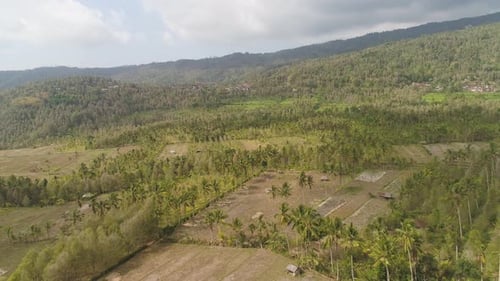 Mountain Landscape Farmlands and Village Bali, Indonesia.