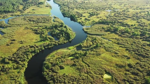 Aerial View Green Forest Woods And River Landscape In Sunny Summer Day