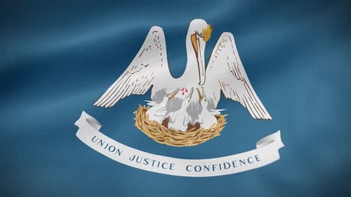 Louisiana State Flag Waving Animation with Fabric Texture