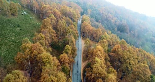 Vue de dessus aérienne arrière sur la route dans la forêt d'automne de campagne colorée