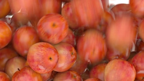 Pile of Peaches Close Up