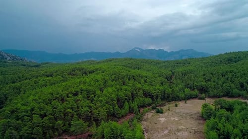Aerial Forest view in Cloudy Weather (2K)