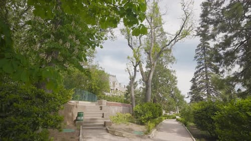 Path in green park in south