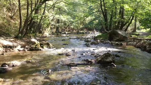 Clean, rocky river, green forest around. Slow motion drone