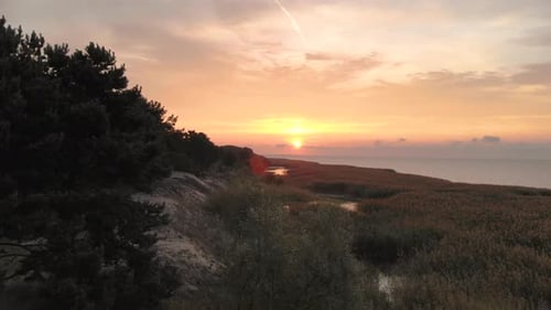 LUFTAUFNAHME: Enthülle Aufnahme von Sonnenaufgang und Sumpfgras, das sich im Wind wiegt