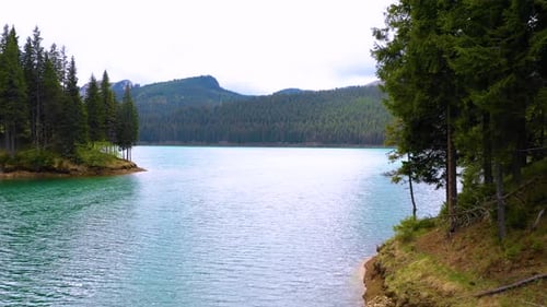 Aerial view of blue lake and green forests. Turquoise water in a mountain forest lake