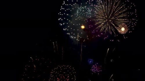 Brilliant Fireworks Exploding in the Night Sky