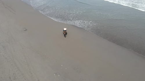 Aerial view of traditional horse cart ride on beach in Indonesia