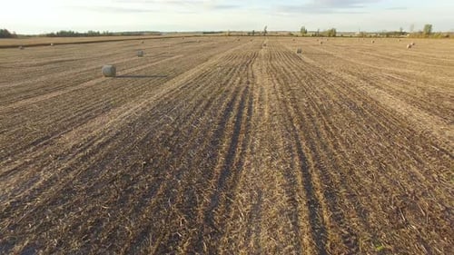 Low angle aerial view of a harvested field and large round bales of straw with drone flying backward