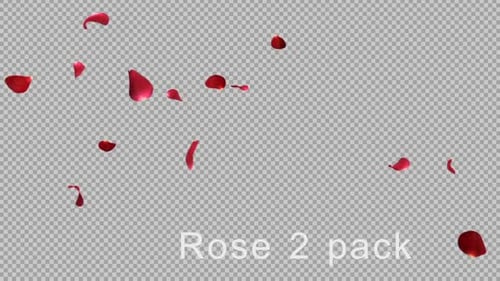 Falling Red Rose Petals Alpha Channel Loop