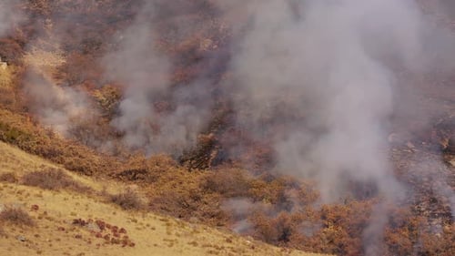 Bushes and brush on fire as smoke rises into the air