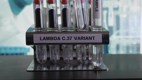 Proben des Lambda C37-Varianten-Teströhrchens werden in das Rack gestellt Gesperrt