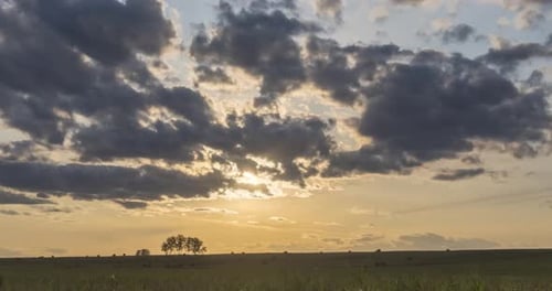 Flat Hill Meadow Timelapse at the Summer Sunset Time