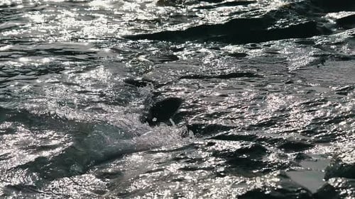 Waves Hitting the Rocks
