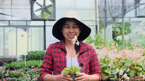 Gardener woman holding small plant pot and looking at camera in greenhouse.