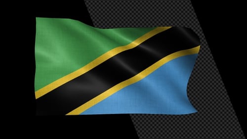 Tanzania Flag