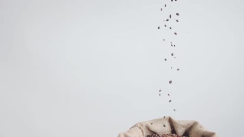 Coffee Beans Pouring Into Burlap Sack