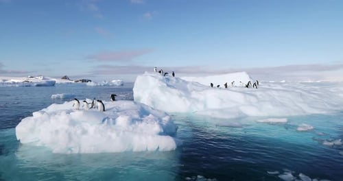 Penguins on icebergs in the Antarctic ocean
