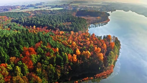 Multicolored autumn forest in sunny day, Poland