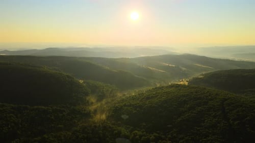 Vibrant Foggy Evening Over Dark Forest Trees at Bright Summer Sunset