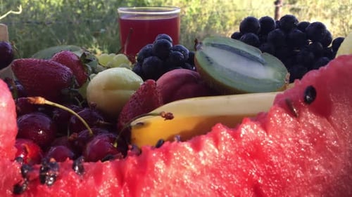Fruits