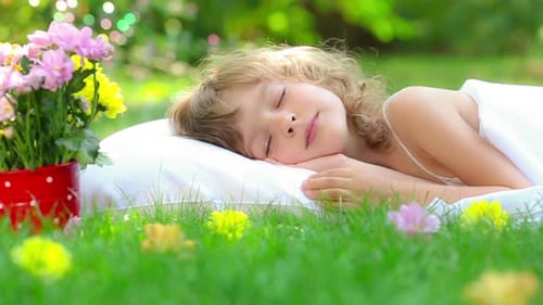 Child Sleeping Peacefully in a Field of Wildflowers