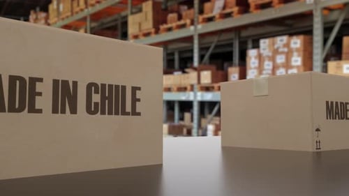 Boxes with MADE IN CHILE Text on Conveyor