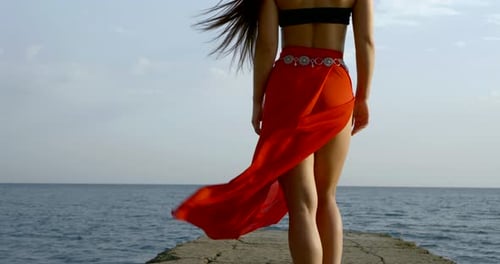 Slim Woman Is Standing on Sea Shore, Back View on Her Beautiful Legs and Ass, Her Long Silk Skirt Is