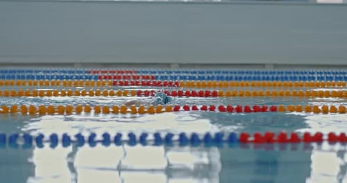 Professional Athletes Swimmers Train in a Large Pool Swim in Freestyle