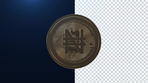 Naira/Nigeria Currency