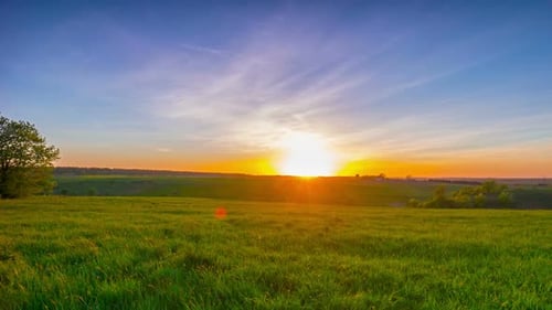 Green Field Under Orange Sunset Sky