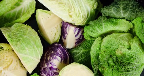 Various Types of Fresh Cabbage.