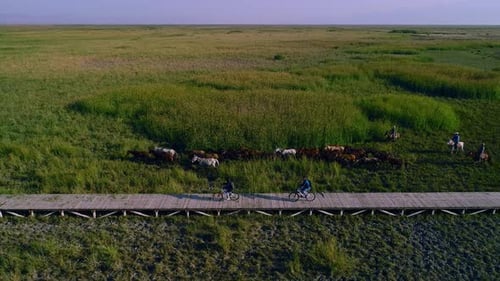Couple of Bikers Riding in the Reeds