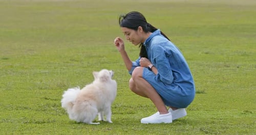 Woman play with her dog at park