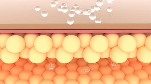 3D Animation of Clear Bubbles Absorbing into Skin Layers