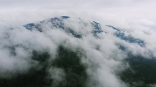 Aerial Drone Footage: Mountains Autumnt Forest Steam after Rain.